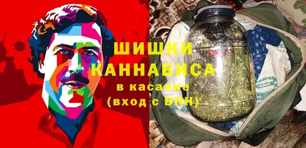 эйфоретик Арсеньев