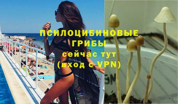 spice Киров