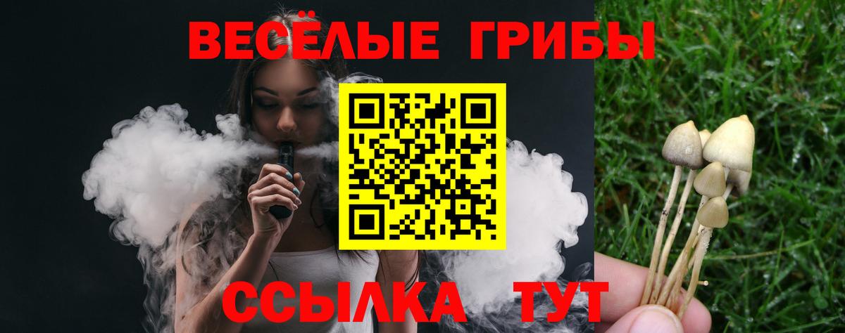 Псилоцибиновые грибы ЛСД  Псилоцибиновые грибы GOLDEN TEACHER  Белгород  Вход с VPN 