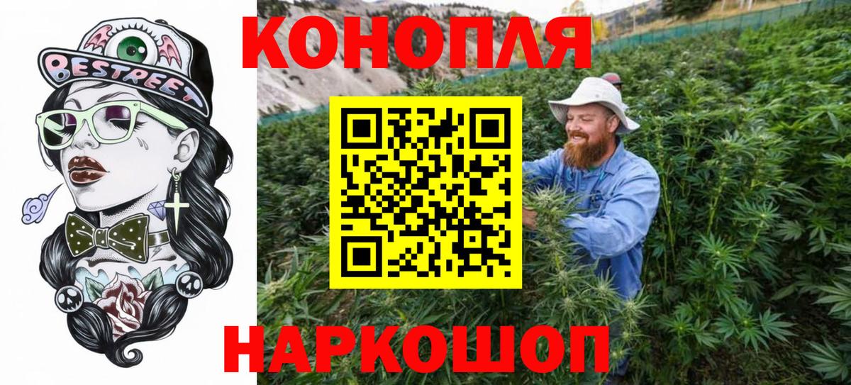 Конопля конопля Белгород